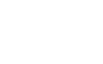 logo_link